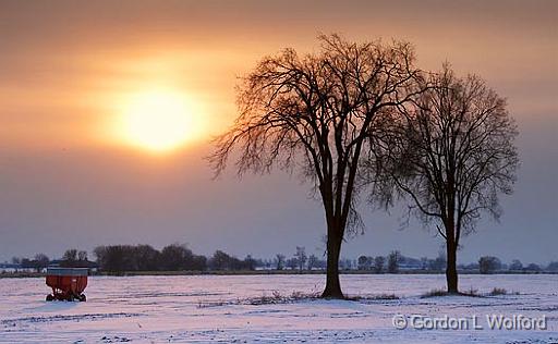 Two Trees At Sunrise_13535.jpg - Photographed at Ottawa, Ontario - the capital of Canada.